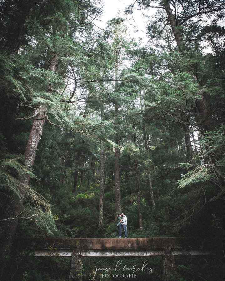 Encontramos el lugar ideal, ¡gracias a todos por ayudarnos! - 2