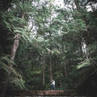 Encontramos el lugar ideal, ¡gracias a todos por ayudarnos! - 1