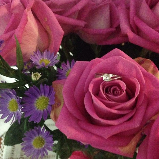 Catálogo de anillos de compromiso de Bodas.com - 1