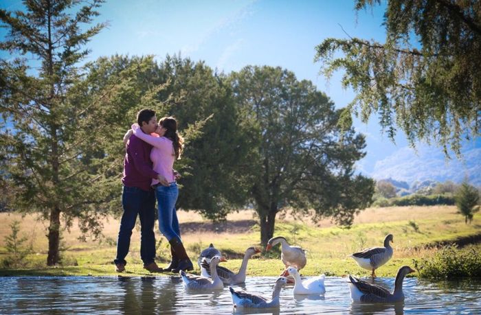 Fotografía grupo mc / recomendable. :) - 12