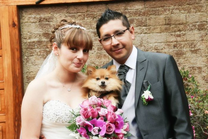 Mi trash the dress parte 2 oficial - 4