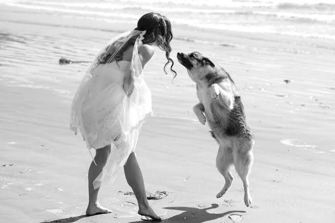 Trash the dress con perritos. 🐾🐾 - 3