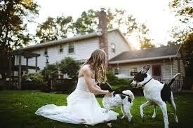 Trash the dress con perritos. 🐾🐾 - 7