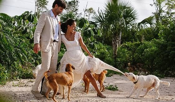 Trash the dress con perritos. 🐾🐾 - 9