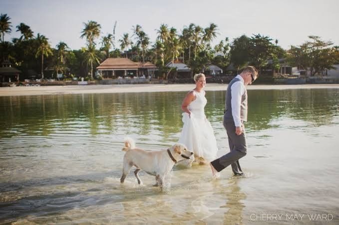 Trash the dress con perritos. 🐾🐾 - 11