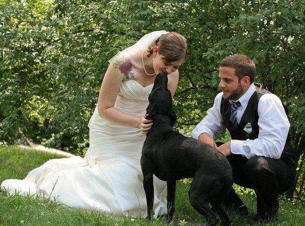 Trash the dress con perritos. 🐾🐾 - 17