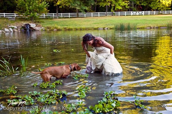 Trash the dress con perritos. 🐾🐾 - 18