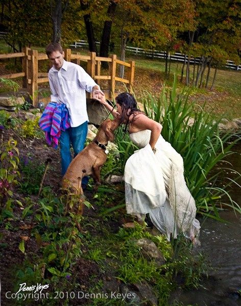 Trash the dress con perritos. 🐾🐾 - 19