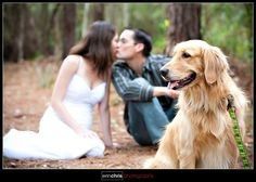 Trash the dress con perritos. 🐾🐾 - 20