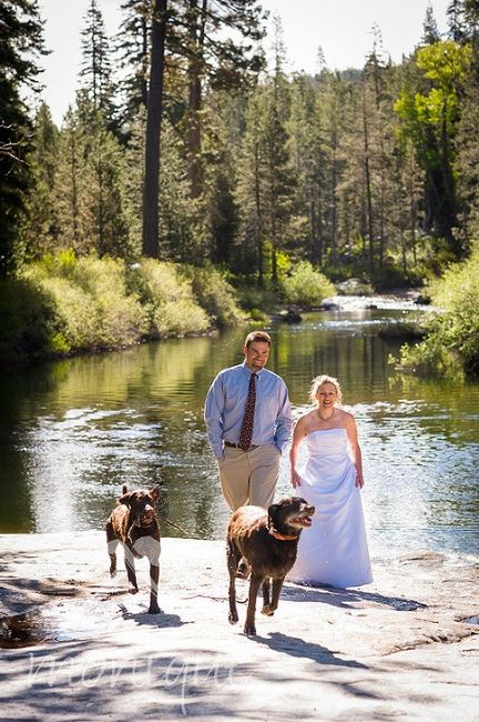 Trash the dress con perritos. 🐾🐾 - 21