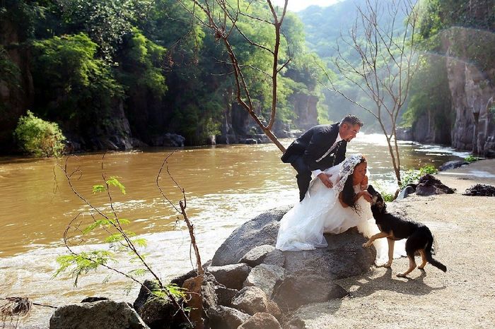 Trash the dress con perritos. 🐾🐾 - 22
