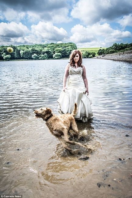 Trash the dress con perritos. 🐾🐾 - 27