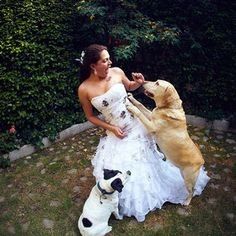 Trash the dress con perritos. 🐾🐾 - 26