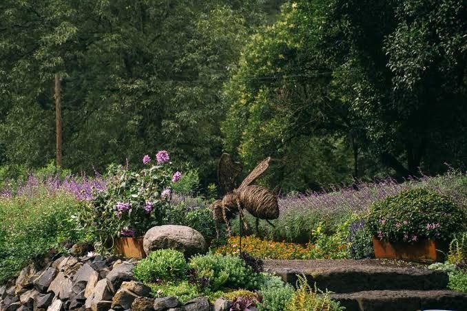 Lugares para una sesión muy natural 🌳 en la cdmx 5