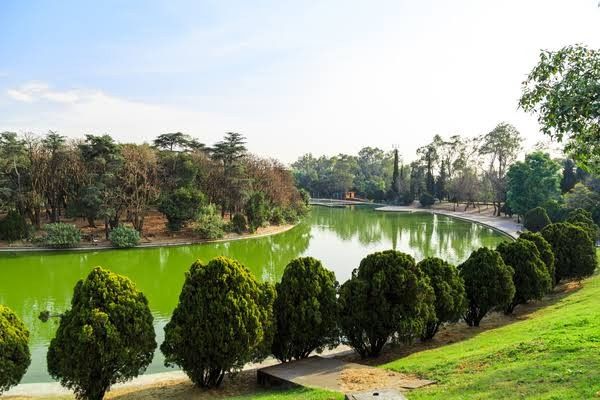 Lugares para una sesión muy natural 🌳 en la cdmx 9