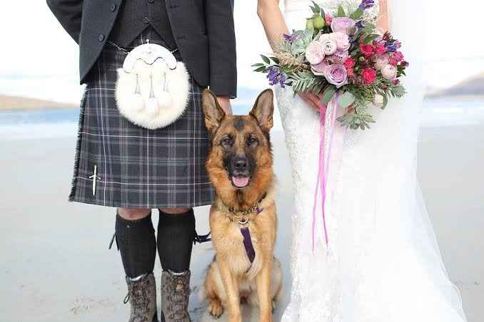 Trash the dress con perritos. 🐾🐾 - 1