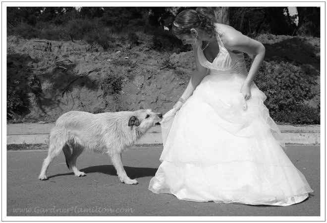 Trash the dress con perritos. 🐾🐾 - 4