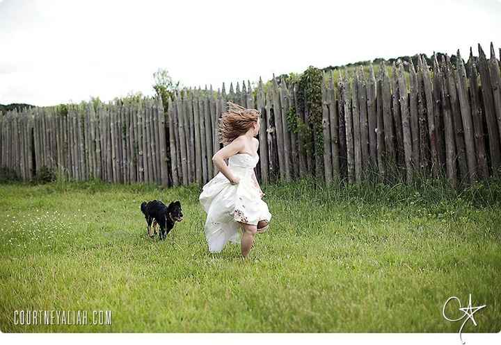 Trash the dress con perritos. 🐾🐾 - 5