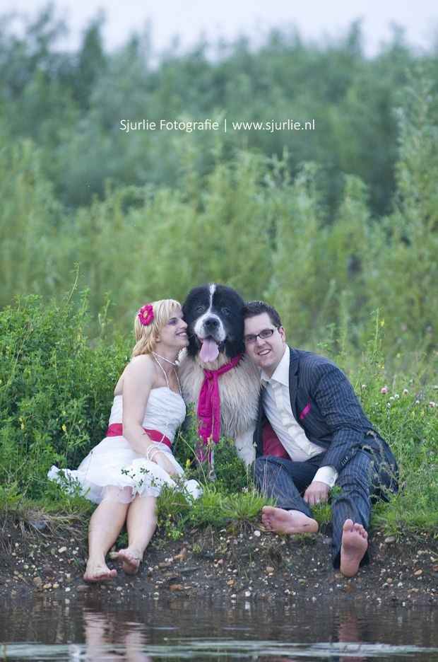 Trash the dress con perritos. 🐾🐾 - 8