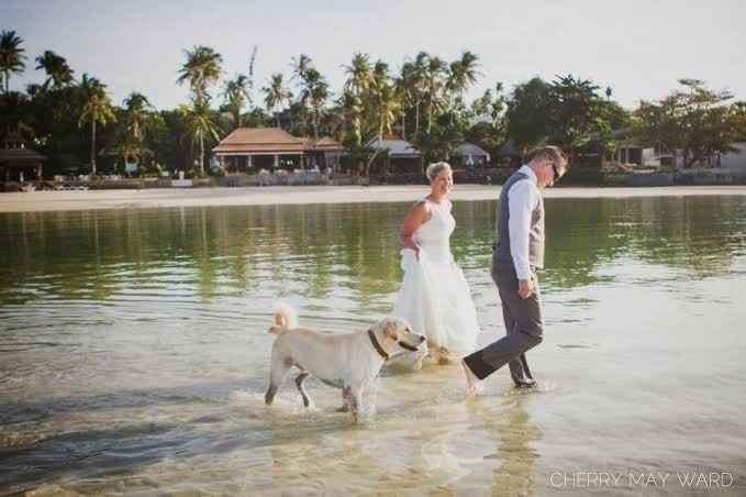 Trash the dress con perritos. 🐾🐾 - 11