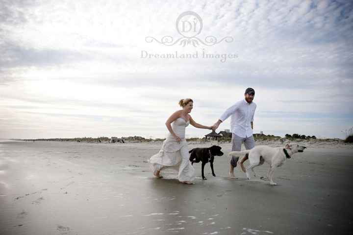 Trash the dress con perritos. 🐾🐾 - 13
