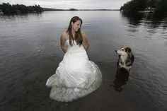 Trash the dress con perritos. 🐾🐾 - 16
