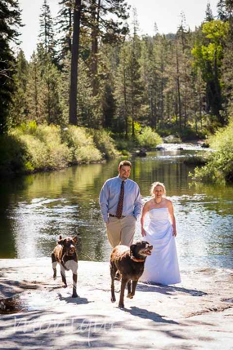 Trash the dress con perritos. 🐾🐾 - 21