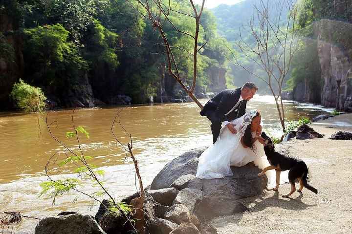 Trash the dress con perritos. 🐾🐾 - 22