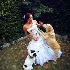 Trash the dress con perritos. 🐾🐾 - 26