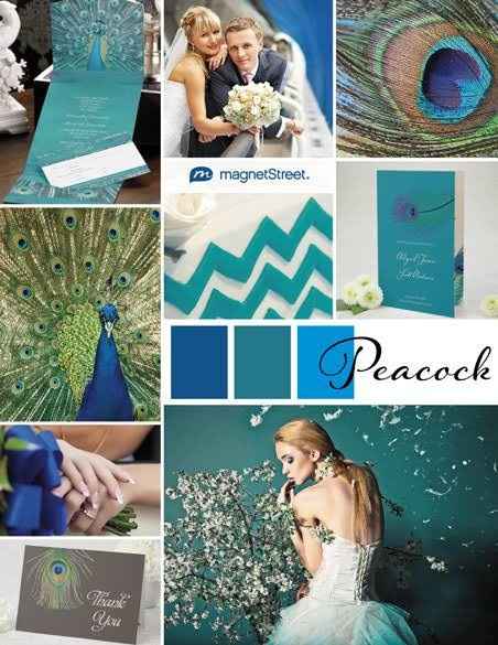 Tema de la boda - 27