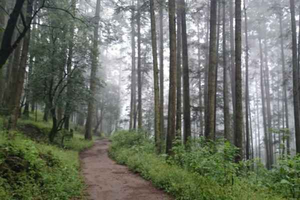 Lugares para una sesión muy natural 🌳 en la cdmx - 2