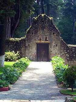 Lugares para una sesión muy natural 🌳 en la cdmx - 3