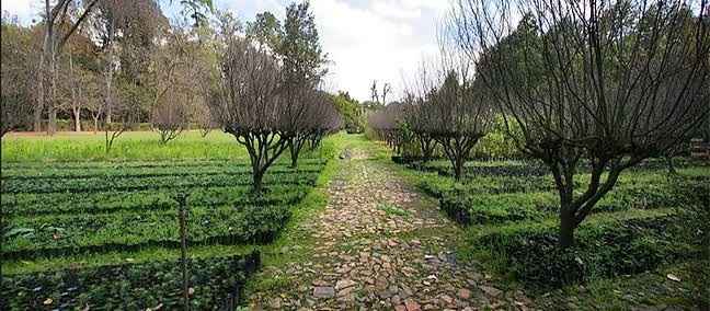 Lugares para una sesión muy natural 🌳 en la cdmx - 15
