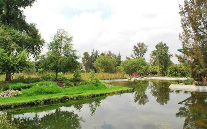 Lugares para una sesión muy natural 🌳 en la cdmx - 18