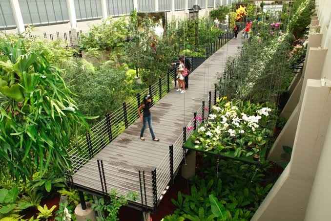 Lugares para una sesión muy natural 🌳 en la cdmx - 19