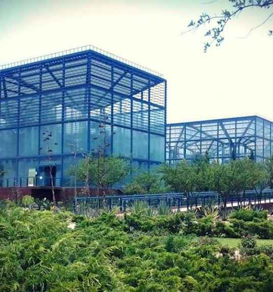 Lugares para una sesión muy natural 🌳 en la cdmx - 20