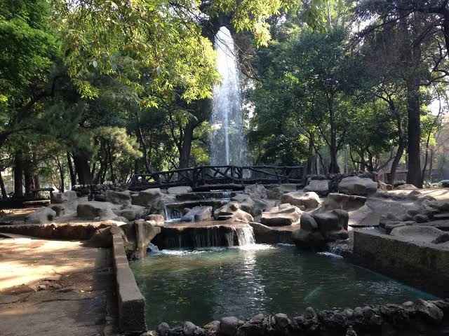 Parques para sesiones 📷 en cdmx - 1