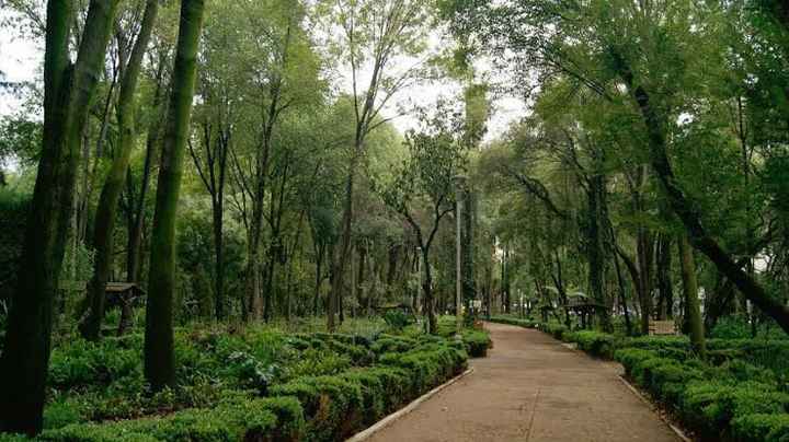 Parques para sesiones 📷 en cdmx - 3