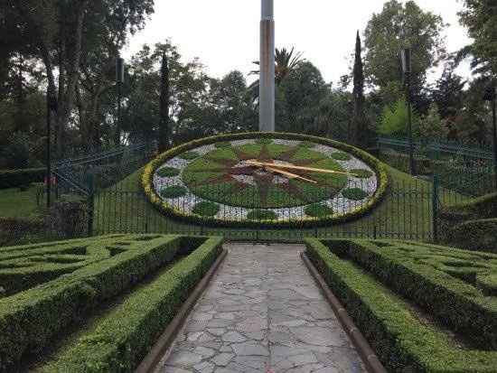 Parques para sesiones 📷 en cdmx - 5