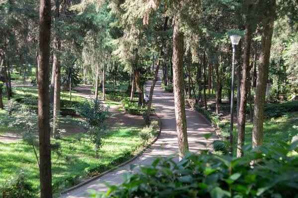 Parques para sesiones 📷 en cdmx - 6