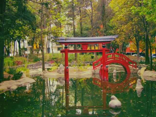 Parques para sesiones 📷 en cdmx - 7