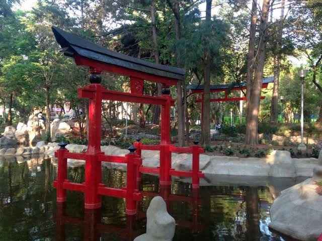 Parques para sesiones 📷 en cdmx - 8