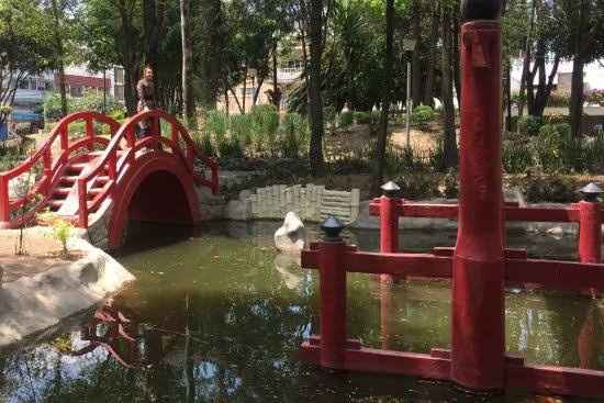 Parques para sesiones 📷 en cdmx - 9