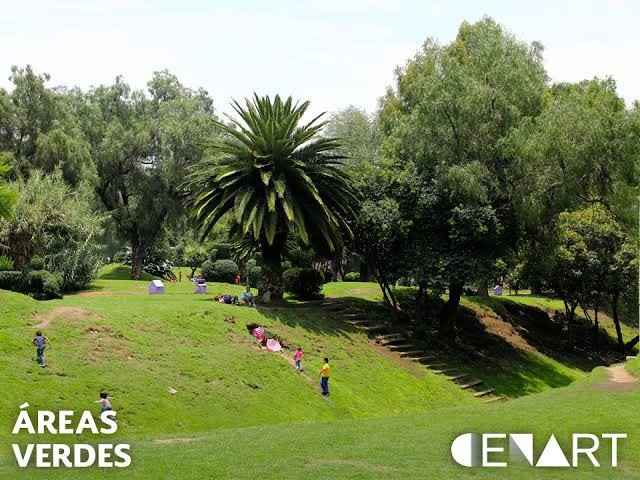 Parques para sesiones 📷 en cdmx - 10