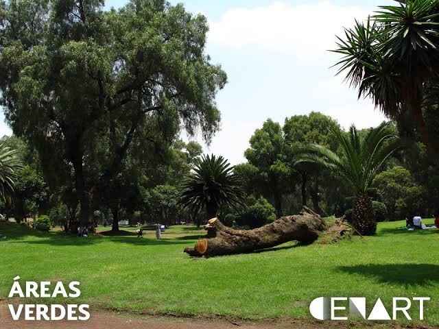 Parques para sesiones 📷 en cdmx - 11