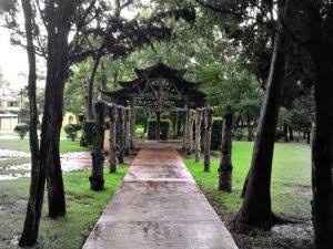 Parques para sesiones 📷 en cdmx - 15