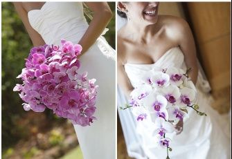 Boda Orquidea Radiante - 2