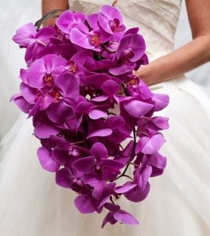 Boda Orquidea Radiante - 11