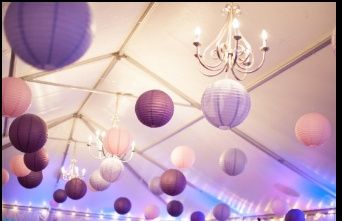Boda Orquidea Radiante - 18