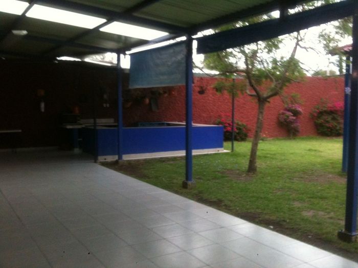El jardin donde será la recepción  - 2